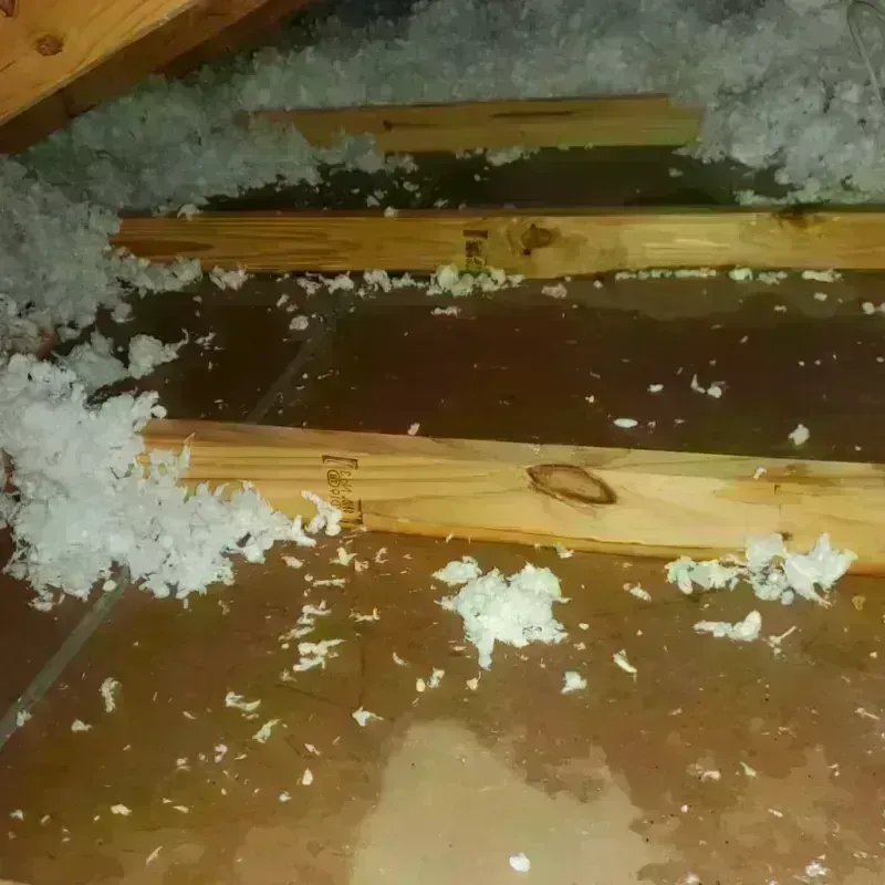 Attic Water Damage in Allendale, SC